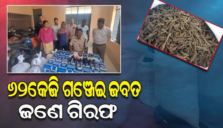 ପିକପ୍ ଭ୍ୟାନରେ ସିକ୍ରେଟ ଚ୍ୟାମ୍ବର କରି ହେଉଥିଲା ଗଞ୍ଜେଇ ଚାଲାଣ; ମାଡିବସିଥିଲା ଅବକାରୀ ବିଭାଗ, ଜଣେ ଗିରଫ