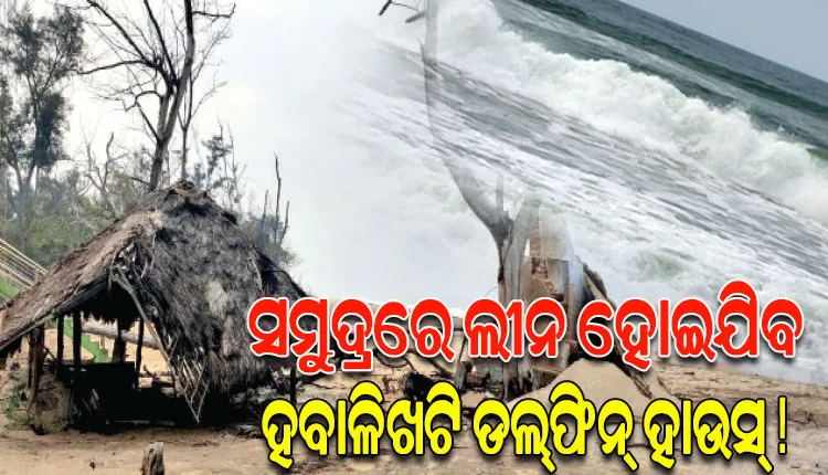 ଜଳବାୟୁ ପରିବର୍ତ୍ତନର କୁ-ପ୍ରଭାବ: ମାଡ଼ି ଆସୁଛି ସମୁଦ୍ର, ବିପଦରେ ଲୁଣା ଜଙ୍ଗଲ