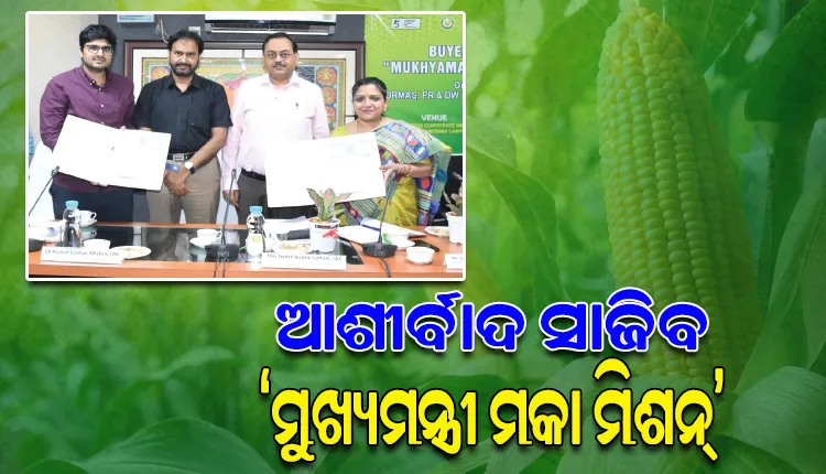 ଏଣିକି ଉଚିତ ମୂଲ୍ୟରେ ସିଧାସଳଖ କମ୍ପାନୀକୁ ମକା ବିକିବେ ଚାଷୀ; ଦୁଇ ଘରୋଇ ସଂସ୍ଥା ସହ ଓରମାସ୍‌‌ର ଏମଓୟୁ