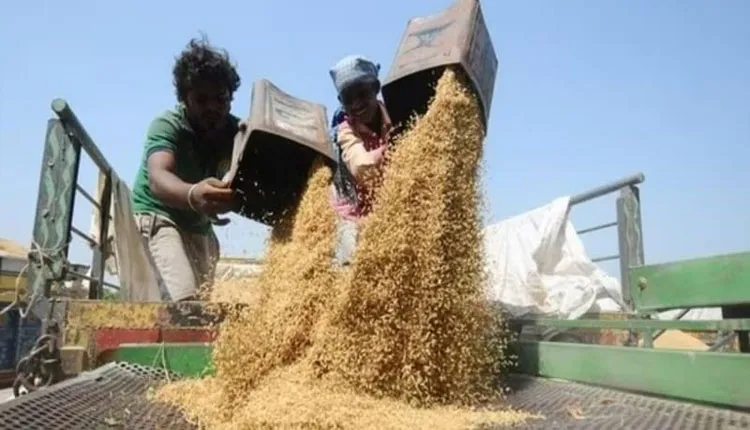 ସ୍ବଚ୍ଛତାର ସହ ହେବ ଖରିଫ୍‌ ଧାନ ସଂଗ୍ରହ
