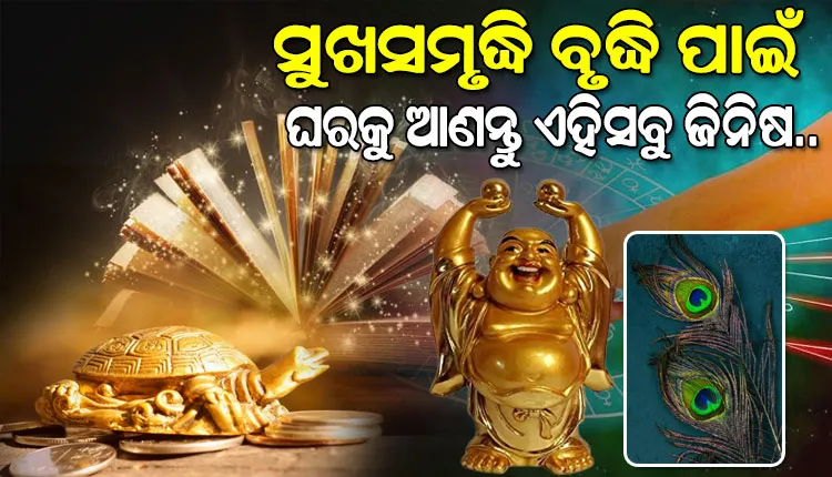 ଶୁଭଫଳ ପ୍ରାପ୍ତି ନିମନ୍ତେ ଘରକୁ ଆଣନ୍ତୁ ଏହିସବୁ ଜିନିଷ…