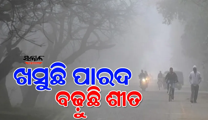 ରାଜ୍ୟରେ ତଳମୁହାଁ ପାରଦ; ରାତି ତୁଳନାରେ ଦିନରେ ଅଧିକ ଥଣ୍ଡା