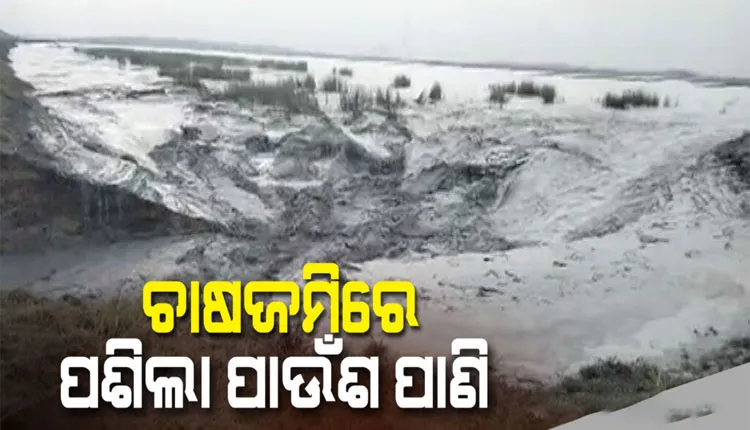 ଭୁଶୁଡିଲା ଓପିଜିସି ଆଶ ପଣ୍ଡ; ହିଡ଼ ଭାଙ୍ଗି ଚାଷ ଜମିରେ ପଶିଲା ପାଉଁଶ