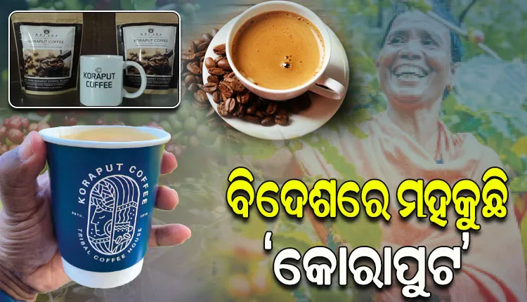 ବିଶ୍ୱ ବଜାରରେ ନିଜର ସ୍ୱତନ୍ତ୍ର ପରିଚୟ ସୃଷ୍ଟି କରିପାରିଛି ‘କୋରାପୁଟ କଫି’