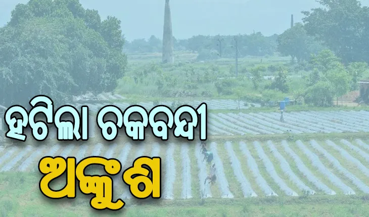 ହଟିଲା ଚକବନ୍ଦୀ ଅଙ୍କୁଶ: ଜମି ବିକ୍ରି, ବଣ୍ଟନ ଓ ହସ୍ତାନ୍ତରରେ ରହିବନି ସମସ୍ୟା