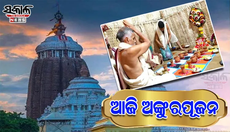 ଶ୍ରୀମନ୍ଦିର ପରିକ୍ରମା ପ୍ରକଳ୍ପ ଲୋକାର୍ପଣର ଆଦ୍ୟପର୍ବ:  ଆଜି ଅଙ୍କୁରପୂଜନ, ଯଜ୍ଞାଦି କର୍ମ କରିବେ ୪୮ ଶ୍ରୋତ୍ରୀୟ ବ୍ରାହ୍ମଣ