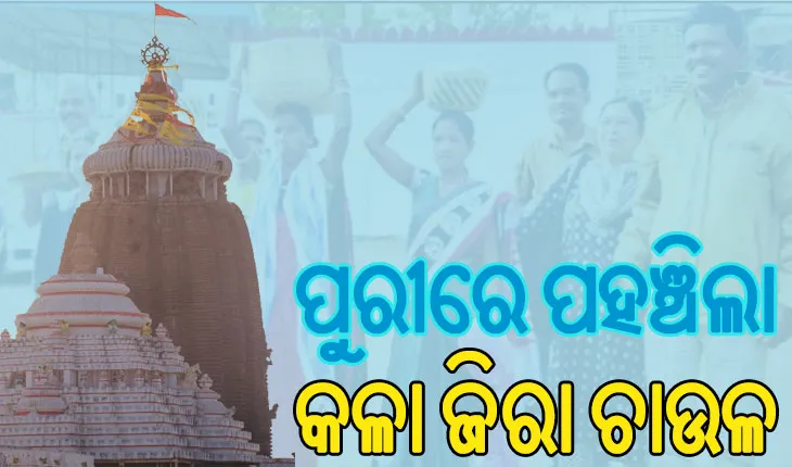 ଶାବର ଶ୍ରୀକ୍ଷେତ୍ରରୁ ଆସି ପୁରୀରେ ପହଞ୍ଚିଲା କଳାଜିରା ଚାଉଳ, ସୁଗନ୍ଧରେ ମହକିବ ବଡ଼ ଠାକୁରଙ୍କ ରୋଷଶାଳା