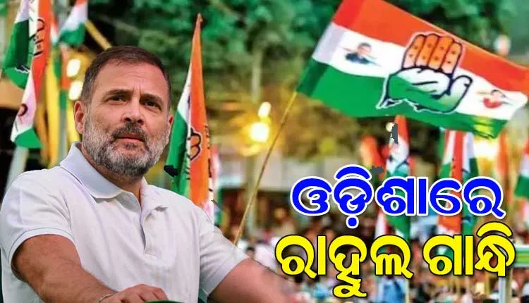 ଓଡ଼ିଶାରେ ପହଞ୍ଚି ସତ୍ୟଭାମାପୁର ସ୍ଥିତ ମଧୁବାବୁଙ୍କ ପ୍ରତିମୂର୍ତ୍ତିରେ ମାଲ୍ୟାର୍ପଣ କଲେ ରାହୁଲ ଗାନ୍ଧି