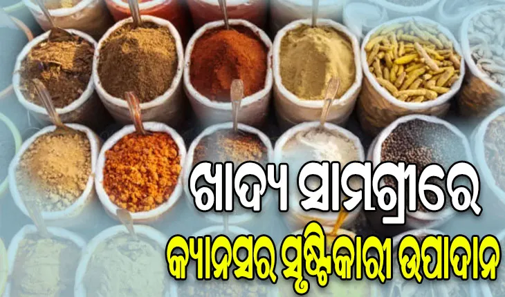 ୟୁରୋପୀୟ ସଂଘର ଚାଞ୍ଚଲ୍ୟକର ବୟାନ: ୪୦୦ଟି ଭାରତୀୟ ଖାଦ୍ୟ ସାମଗ୍ରୀରେ କୀଟନାଶକ ଓ କବକ