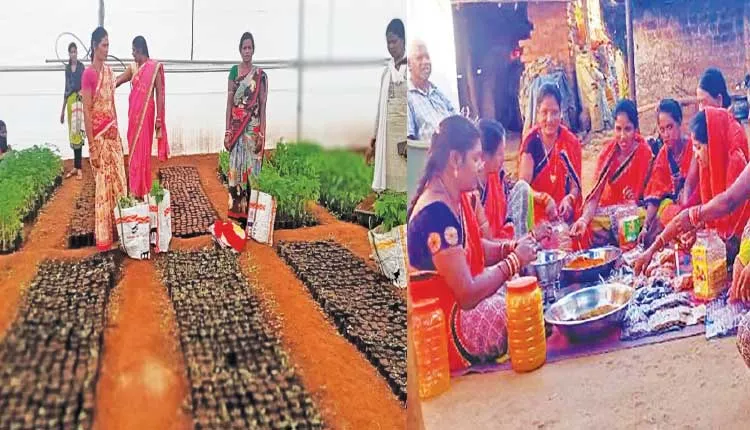 ଜୀବିକା ଦେଲା ମିଶନ ଶକ୍ତି, ଚାଷ କରି ନିଜକୁ ସ୍ୱାବଲମ୍ବୀ କରି ପାରିଛନ୍ତି ଗାଙ୍ଗେଶ୍ୱରୀ ସ୍ୱୟଂ ସହାୟିକା ଗୋଷ୍ଠୀର ମାଆମାନେ