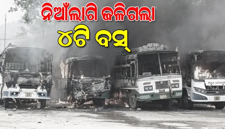 ବିଷମକଟକ ବସଷ୍ଟାଣ୍ଡରେ ନିଆଁଲାଗି ଜଳିଗଲା ୪ଟି ବସ୍, କାରଣ ଅସ୍ପଷ୍ଟ