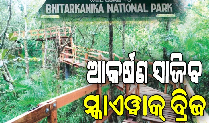 ଅଗଷ୍ଟ ୧ରୁ ପର୍ଯ୍ୟଟକଙ୍କ ପାଇଁ ଖୋଲିବ ଭିତରକନିକା, ଆକର୍ଷଣ ସାଜିବ ସ୍କାଏୱାକ୍‌‌ ବ୍ରିଜ