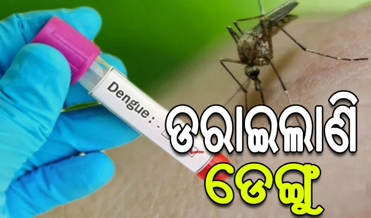 ଡରାଇଲାଣି ଡେଙ୍ଗୁ, ରାଜ୍ୟରେ ୧୦୦୦ ପାର କଲା ଡେଙ୍ଗୁ ରୋଗୀଙ୍କ ସଂଖ୍ୟା