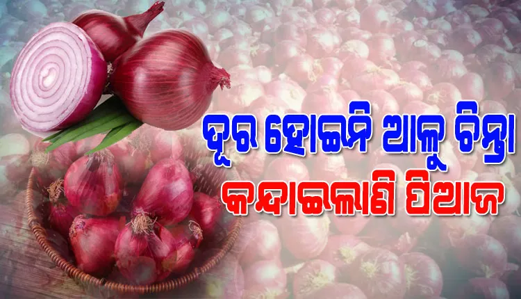 କନ୍ଦାଇଲାଣି ପିଆଜ; ସରକାରୀ ନିୟନ୍ତ୍ରଣ ନ ଥିବାରୁ ମନଇଚ୍ଛା ଦର ହାଙ୍କୁଛନ୍ତି ବ୍ୟବସାୟୀ