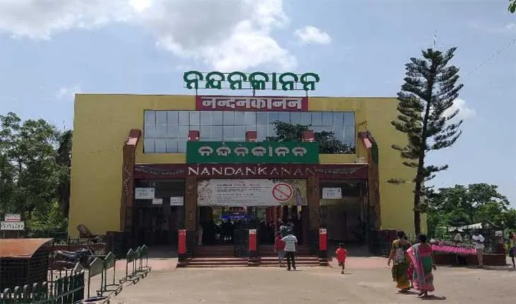 ନନ୍ଦନକାନନ ଆସିବେ ରେଡ୍ କଙ୍ଗାରୁ ଓ ଆଫ୍ରିକୀୟ ଚିତା: ସ୍ୱାଗତ ପାଇଁ ସ୍ୱତନ୍ତ୍ର ପ୍ରସ୍ତୁତି