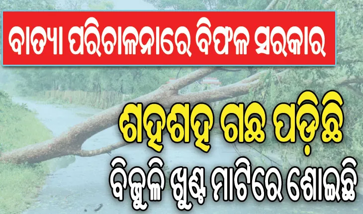 ସରକାରଙ୍କ ମୁଖା ଖୋଲିଲେ ନିଜ ଦଳର ବିଧାୟକ: ପ୍ରଚାରଠାରୁ ବାସ୍ତବତା ଭିନ୍ନ; ଶହଶହ ଗଛ ପଡ଼ିଛି, ବିଜୁଳି ଖୁଣ୍ଟ ମାଟିରେ ଶୋଇଛି…