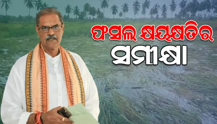 ବାତ୍ୟାଜନିତ କୃଷି କ୍ଷୟକ୍ଷତି ସମୀକ୍ଷାର ପ୍ରାଥମିକ ରିପୋର୍ଟ: ‘ରାଜ୍ୟରେ ୭୯ ହଜାର ୬୭୧ ହେକ୍ଟର ଚାଷ ଜମି ପ୍ରଭାବିତ’