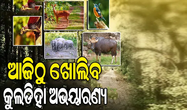 ଆଜିଠାରୁ ପର୍ଯ୍ୟଟକଙ୍କ ପାଇଁ ଖୋଲିବ କୁଲଡିହା ଅଭୟାରଣ୍ୟ