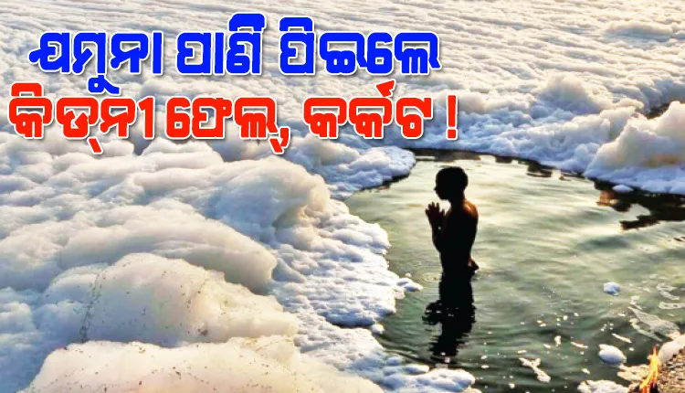 କେନ୍ଦ୍ରୀୟ ଜଳ କମିଶନ ରିପୋର୍ଟ: ଯମୁନା ପାଣି ‌ପିଇଲେ କିଡ୍‌ନୀ ଫେଲ୍‌, କର୍କଟ !