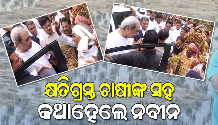 ଚାଷୀଙ୍କ କୋହ ଶୁଣିଲେ ନବୀନ; ସରକାର ତୁରନ୍ତ କ୍ଷତିପୂରଣ ଯୋଗାଇଦେବାକୁ କଲେ ଦାବି