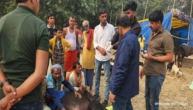ଅବୈଧ ବଳିରୁ ଉଦ୍ଧାର ହୋଇଥିବା ୪ଶହ ପଶୁଙ୍କ ଆଜୀବନ ଯତ୍ନ ନେବ ‘ବନ୍ତାରା’
