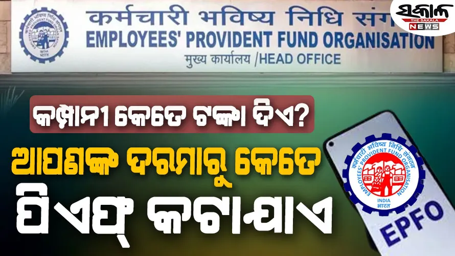 ଆପଣଙ୍କ ଦରମାରୁ କେତେ PF କଟାଯାଏ ଏବଂ କମ୍ପାନୀ କେତେ ଦିଏ?