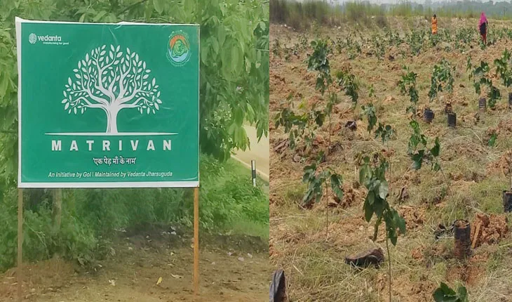 ବେଦାନ୍ତ ଆଲୁମିନିୟମର ମାତୃଭନ ଉଦ୍ୟମ, ଓଡ଼ିଶାରେ ପୃଥିବୀ ଦିବସ ଅବସରରେ ଏକ ସବୁଜ ଆସନ୍ତାକାଲି ପାଇଁ ଉତ୍କର୍ଷିତ ହେଉଛି