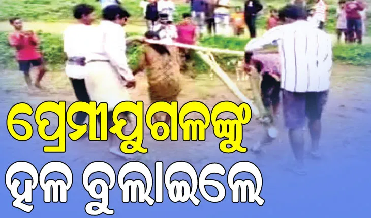 ଜାତି ସମାଜର କଙ୍ଗାରୁ କୋର୍ଟ; ବଳଦ ସାଜି ହଳ କଲେ ପ୍ରେମୀଯୁଗଳ …