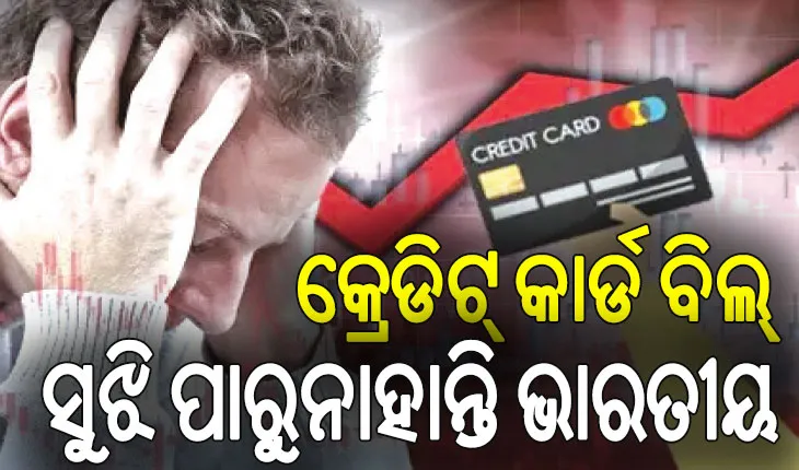 କ୍ରେଡିଟ୍‌ କାର୍ଡ ବିଲ୍‌ ସୁଝି ପାରୁନାହାନ୍ତି ଭାରତୀୟ, ବାକି ଅଛି ୩୩,୮୮୬ କୋଟିର ବିଲ୍‌…
