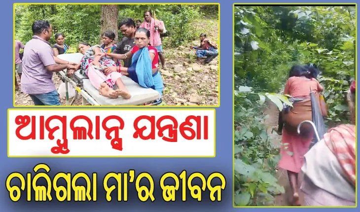 ଆସିପାରିଲାନି ଆମ୍ବୁଲାନ୍ସ: ଅଧାବାଟରେ ପ୍ରସବ କଲେ ମହିଳା ତ’ ଆଉ କେଉଁଠାରେ ସାପ କାମୁଡ଼ାରେ ଚାଲିଗଲା ମା’ର ଜୀବନ…