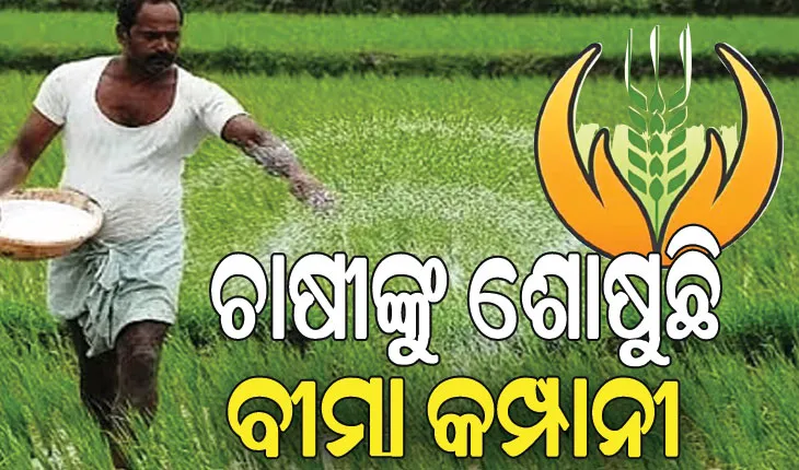 ଚାଷୀଙ୍କୁ ଶୋଷୁଛି ବୀମା କମ୍ପାନୀ: ନେଉଛି ଅଧିକ,  ଦେଉଛି କମ୍‌