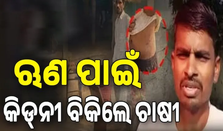 ଋଣ ପରିଶୋଧ ପାଇଁ ଋଣଦାତାଙ୍କ ଚାପ; କାମ୍ବୋଡ଼ିଆ ଯାଇ କିଡ୍‌ନୀ ବିକିଲେ ଚାଷୀ, ଲକ୍ଷେ ଟଙ୍କାର ଋଣ ହୋଇଗଲା ୭୪ ଲକ୍ଷ...