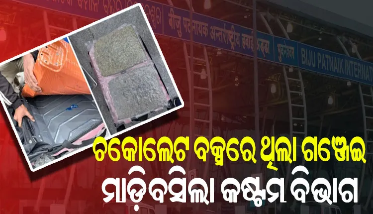 ଭୁବନେଶ୍ୱର ଏୟାରପୋର୍ଟରୁ ପ୍ରାୟ ୪ କୋଟି ଟଙ୍କାର ହାଇଡ୍ରୋପୋନିକ୍ ଗଞ୍ଜେଇ ଜବତ