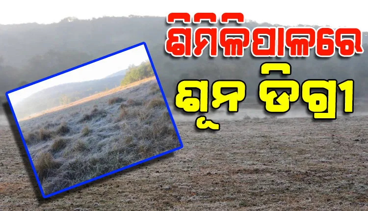 ଶୀତରେ ଥରୁଛି ସାରା ମୟୂରଭଞ୍ଜ; ଶିମିଳିପାଳରେ ପାରଦ ଶୂନ ଡିଗ୍ରୀ, ଜନଜୀବନ ଅସ୍ତବ୍ୟସ୍ତ