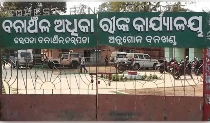 ବୋମା ଖାଇ ହାତୀ ମୃତ୍ୟୁ ପରେ ବନ ବିଭାଗର ତତ୍ପରତା: ବନ୍ୟଜନ୍ତୁଙ୍କ ସୁରକ୍ଷା ପାଇଁ ଆରମ୍ଭ ହେଲା 'ଜୀବେ ଦୟା' ଅପରେସନ