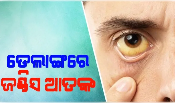 ଡେଲାଙ୍ଗରେ ଜଣ୍ଡିସ ଆତଙ୍କ: ୧୭ରୁ ଅଧିକ ପିଲା ଆକ୍ରାନ୍ତ, ଘଣ୍ଟ ଓ ମାଇକ୍‌ ମାଧ୍ୟମରେ ଗାଁ ଗାଁ ବୁଲି ସଚେତନ କରୁଛନ୍ତି ଆଶାକର୍ମୀ