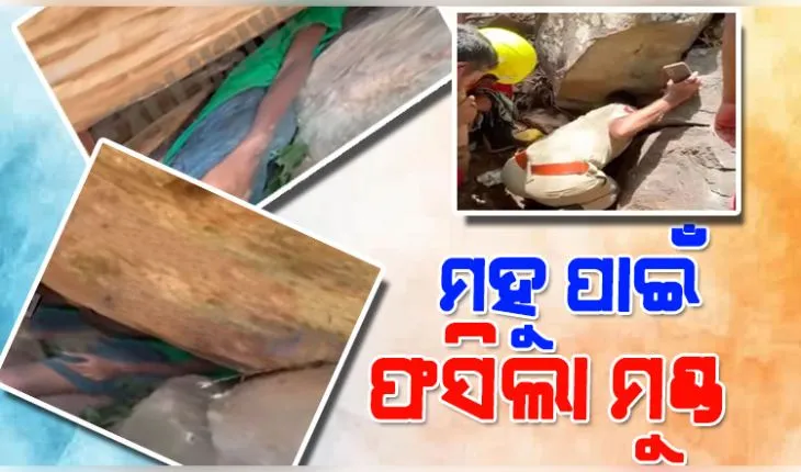 ମହୁ ସଂଗ୍ରହ କରିବାକୁ ଯାଇ ପଥର ଖୋଲରେ ଫସିଗଲା ନାବାଳକଙ୍କ ମୁଣ୍ଡ, ଉଦ୍ଧାର କଲା ଅଗ୍ନିଶମ ବିଭାଗ 