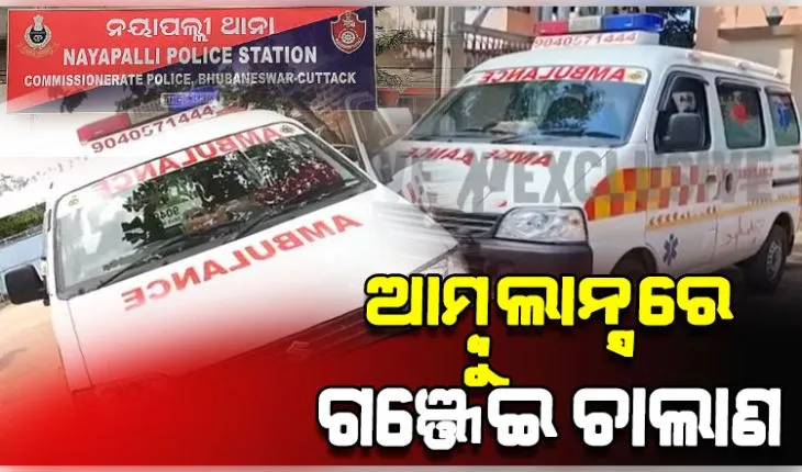 ଆମ୍ବୁଲାନ୍ସର ସିକ୍ରେଟ୍ ଚାମ୍ବରରେ ହେଉଥିଲା ଗଞ୍ଜେଇ ଚାଲାଣ; ମାଡିବସିଲା ନୟାପଲ୍ଲୀ ଥାନା ପୋଲିସ, ୨ଗିରଫ 