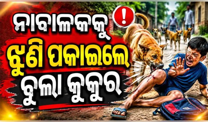 ଗଞ୍ଜାମରେ ଅଭାବନୀୟ ଘଟଣା: ୯ ବର୍ଷର ଶିଶୁପୁତ୍ରକୁ ଝୁଣି ପକାଇଲେ ବୁଲା କୁକୁର 
