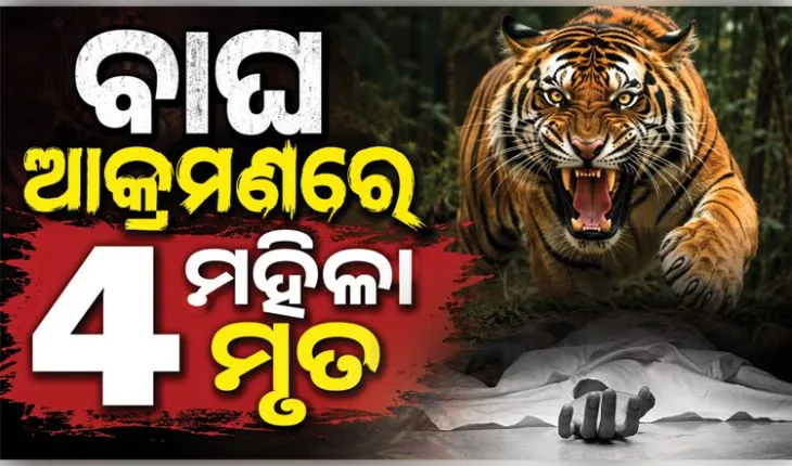 ମହାରାଷ୍ଟ୍ରରେ ବାଘ ଆତଙ୍କ: କେନ୍ଦୁ ପତ୍ର ତୋଳିବାକୁ ଯାଇଥିବା ୪ ମହିଳାଙ୍କୁ ମାରିଦେଲା ମହାବଳ