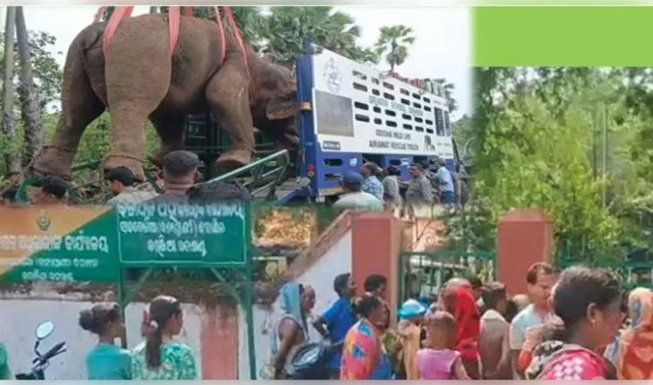 ଅନୁଗୁଳର ନରହନ୍ତା ଦନ୍ତାକୁ ସାତକୋଶିଆରେ ଛାଡିବାକୁ ସ୍ଥାନୀୟ ଅଞ୍ଚଳରେ ବିରୋଧ 