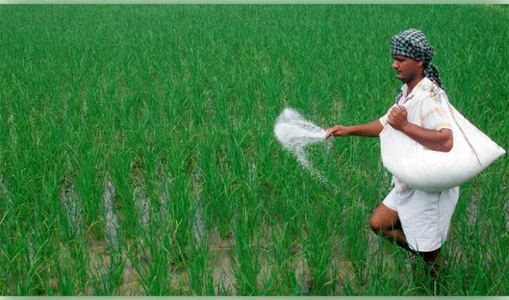 ଓଡ଼ିଶାରେ ସାର ସମବାୟ ସମିତି ପାଇଁ ୪୨ କୋଟି ଟଙ୍କାର ସୁଧ ରିହାତି ଯୋଜନା ଅନୁମୋଦିତ