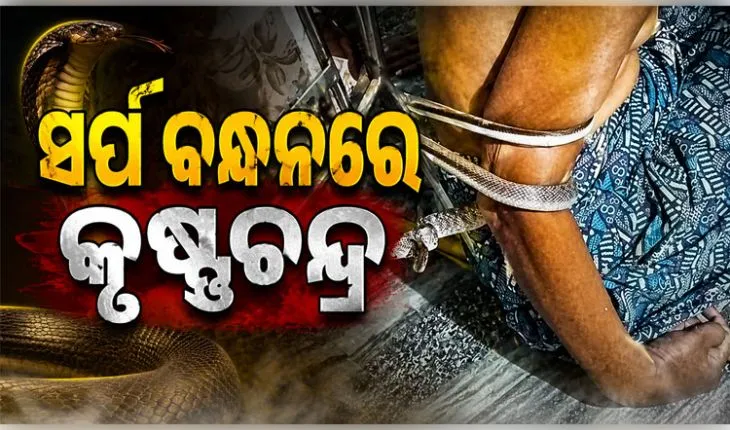 ଆଡ଼େନିଗଡ଼ ଗାଁରେ ଅଘଟଣ: ଦୁଇ ଘଣ୍ଟା ସାପ ବନ୍ଧନରେ ରହିଲେ ପକ୍ଷାଘାତ ରୋଗୀ...