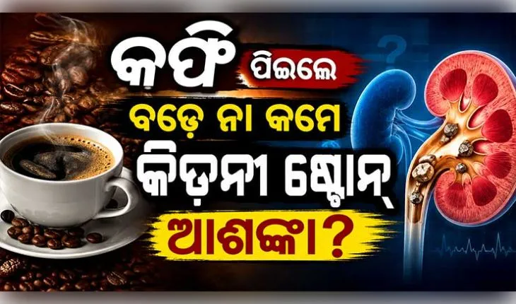 କଫି ପିଇଲେ ବଢ଼େ ନା କମେ କିଡନୀ ଷ୍ଟୋନ୍ ହେବାର ଆଶଙ୍କା? ଜାଣନ୍ତୁ କ'ଣ କହୁଛନ୍ତି ବିଶେଷଜ୍ଞ