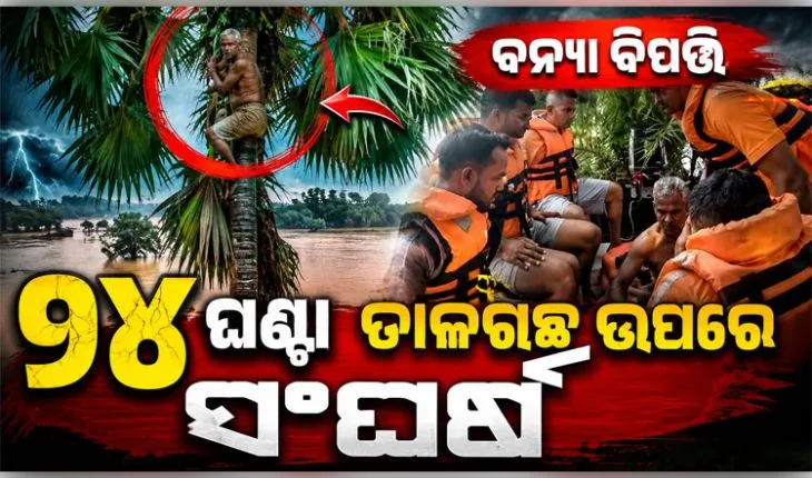 ଭଦ୍ରକରେ ବନ୍ୟା ବିପତ୍ତି: ୨୪ ଘଣ୍ଟା ଧରି ତାଳଗଛ ଉପରେ ଫସି ରହିବା ପରେ ଚାଷୀଙ୍କୁ ଉଦ୍ଧାର କଲା ଓଡ୍ରାଫ୍ ଟିମ୍