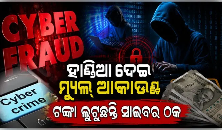 ମ୍ୟୁଲ୍ ଆକାଉଣ୍ଟରେ ଆସୁଛି ସାଇବର ଠକେଇ ଟଙ୍କା, ଓଡ଼ିଶାରୁ ଗୁଜରାଟ-ଆସାମ-କୋଲକାତା ଯାଏଁ ଲିଙ୍କ୍ 