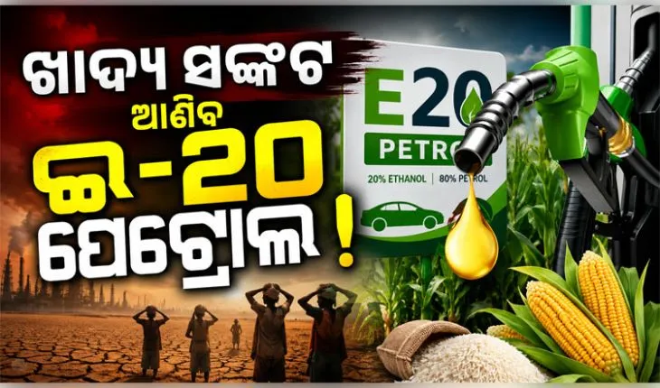 ଦେଶରେ ଖାଦ୍ୟ ସଙ୍କଟ  ଆଣିବ ଇ-୨୦ ପେଟ୍ରୋଲ; ସତର୍କ କରାଇଲେ ମୁଖ୍ୟ ଅର୍ଥନୈତିକ ପରାମର୍ଶଦାତା