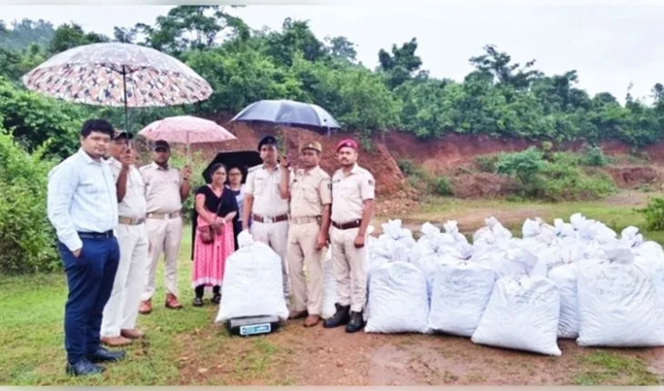 କାଲିମେଳା ପୋଲିସକୁ ବଡ଼ ସଫଳତା: ଚଢ଼ାଉବେଳେ ଜଙ୍ଗଲରୁ କୋଟିଏ ଟଙ୍କାର ଗଞ୍ଜେଇ ଜବତ