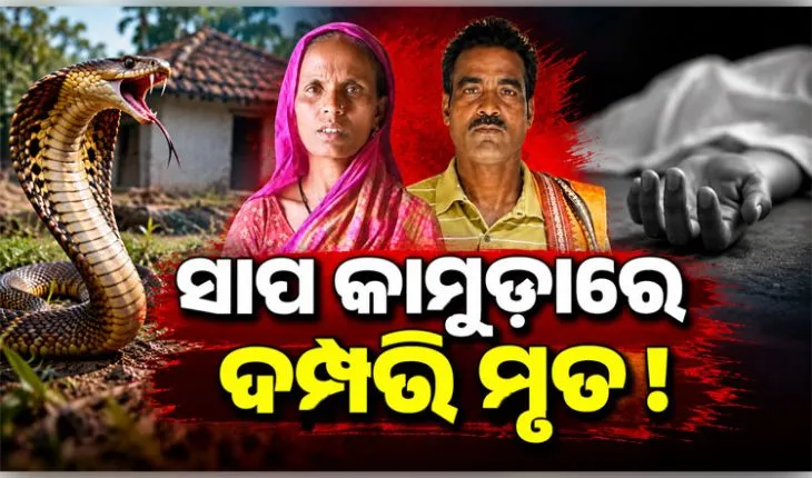 ସ୍ତ୍ରୀ ମୃତ୍ୟୁର ଦିନକ ପରେ ସାପ କାମୁଡ଼ାରେ ଚାଲିଗଲା ସ୍ୱାମୀଙ୍କ ଜୀବନ 