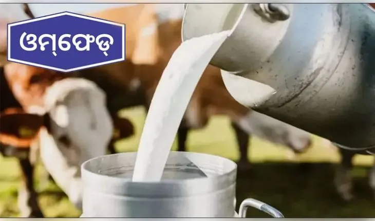 ଦୁଗ୍ଧ ଚାଷୀଙ୍କୁ ଲିଟର ପିଛା ୨ ଟଙ୍କା ଅଧିକ ଦେବାକୁ ଓମ୍‌ଫେଡ୍ ପକ୍ଷରୁ ନିଷ୍ପତ୍ତି, ସେପ୍ଟେମ୍ବର ୧୧ରୁ ଲାଗୁ